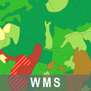 overview