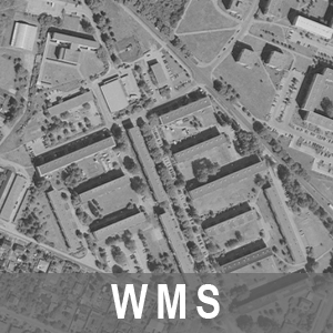 WMS Digitale Orthophotos 40cm Bodenauflösung Grau 1997-2000 Brandenburg