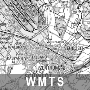 Digitale Topographische Karte 1 : 100 000 Grau Brandenburg mit Berlin (WMTS)